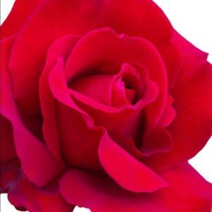 Meet your Posher, Ramla